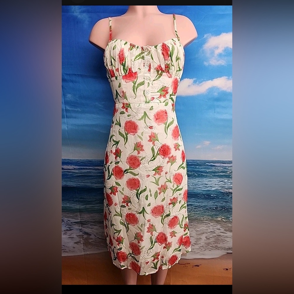 Commense Floral White and Pink Rose Dress